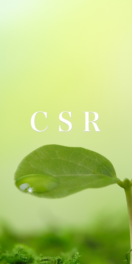 csr/重成土建